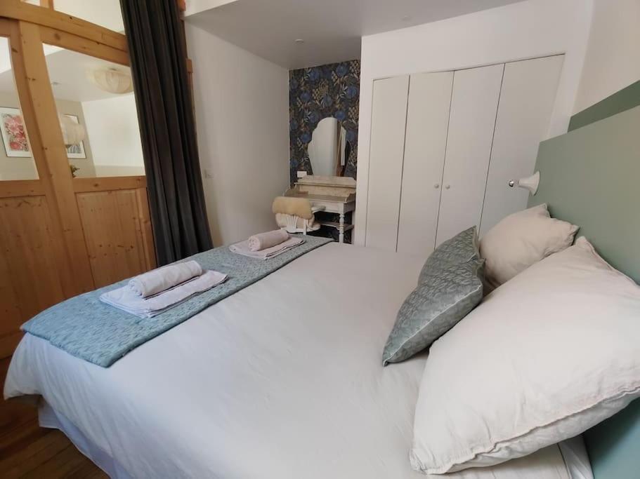 Magnifique Appartement Le Nid Des Thermes Bagnères-de-Bigorre Buitenkant foto